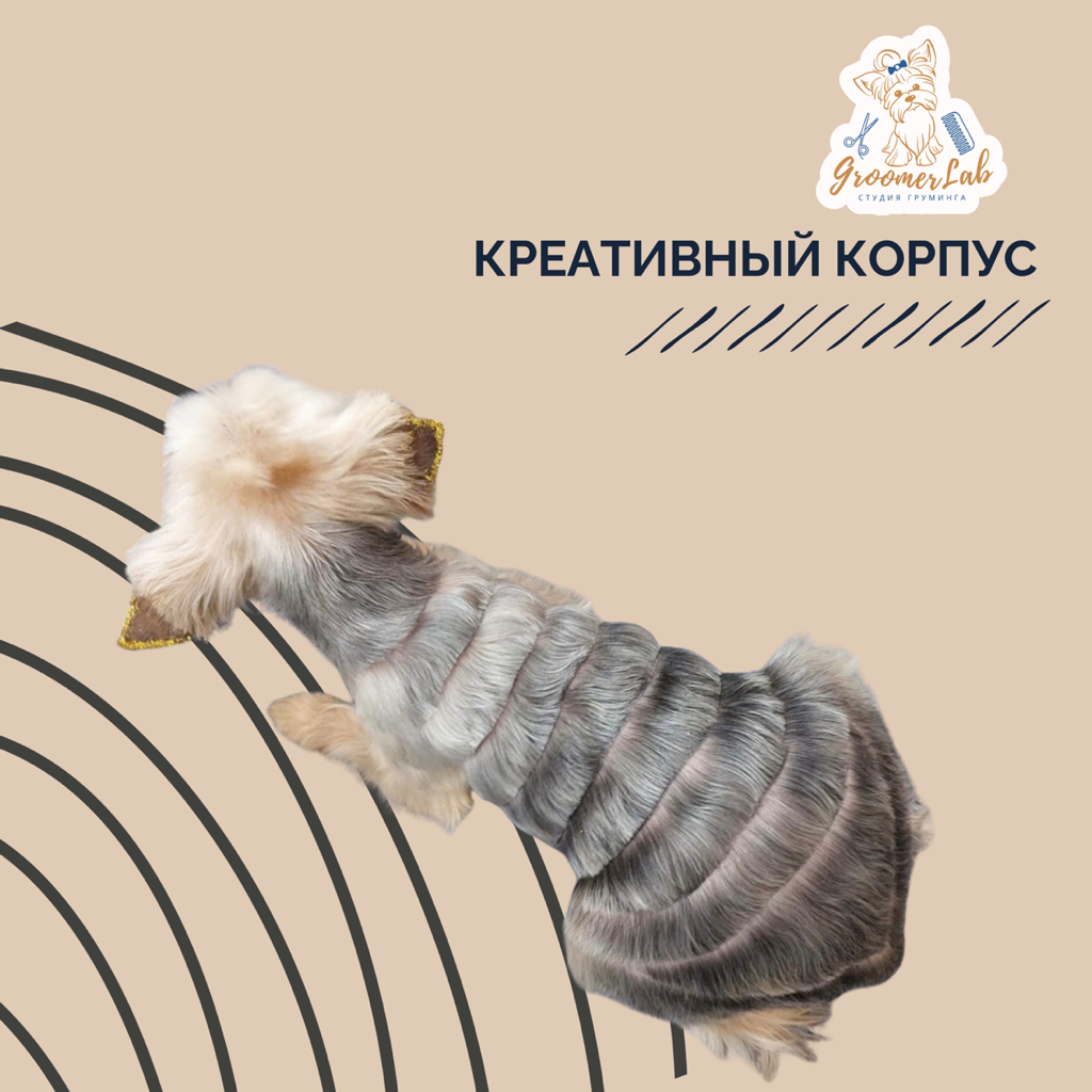 Креативная стрижка корпуса