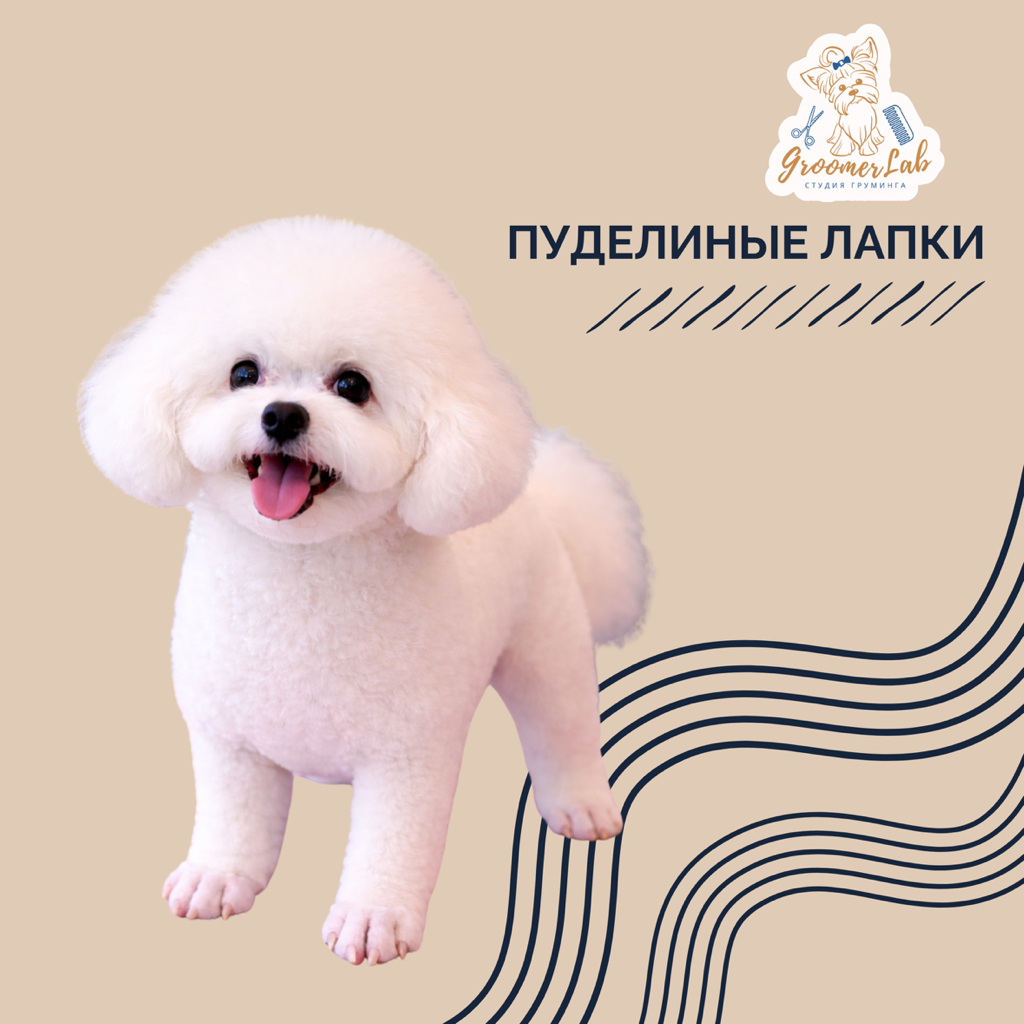 Пуделиные лапки другим породам