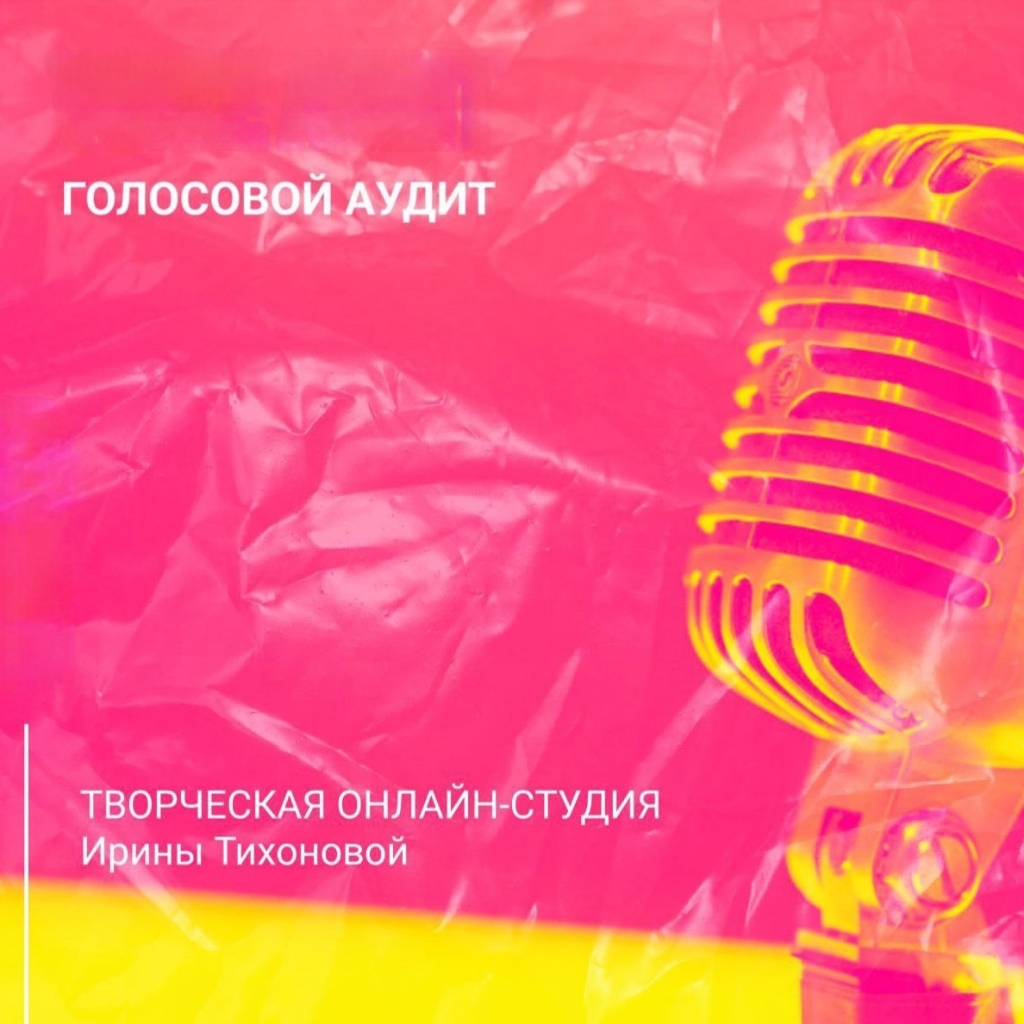 Голосовой аудит