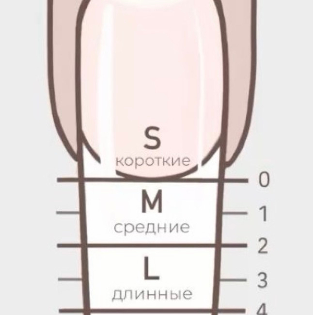 Маникюр+ наращивание с покрытием в один тон (размер s-m)