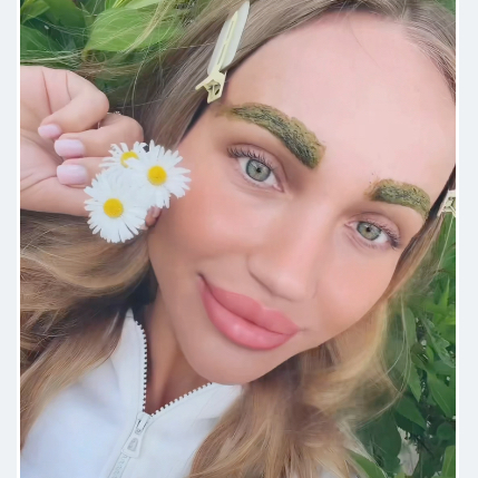 Organic brow set🌿