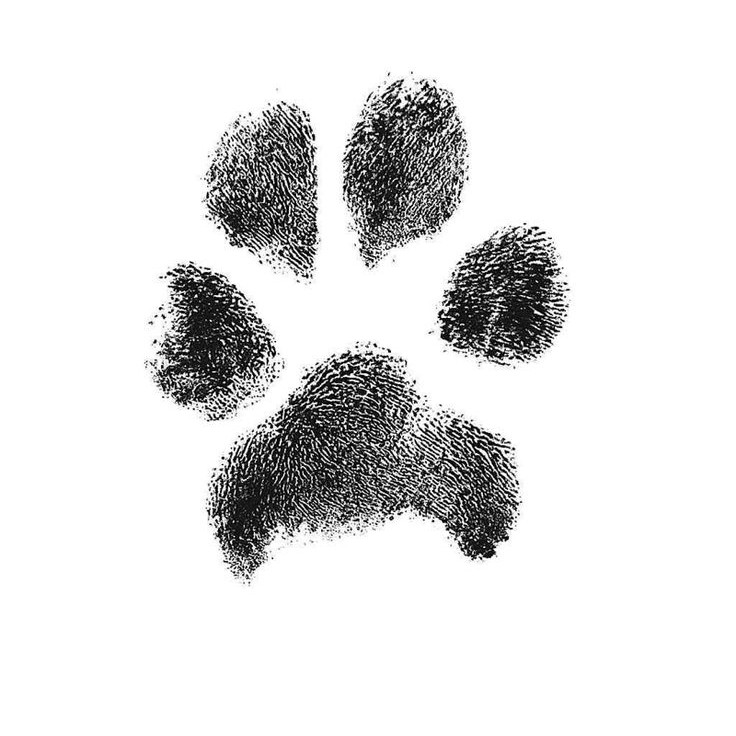 Чистка зубов (средние)