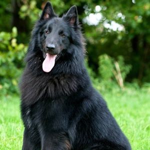 Грюнендаль гигиенический комплекс